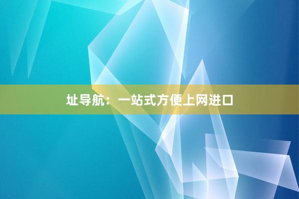 址导航：一站式方便上网进口