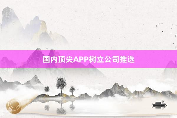 国内顶尖APP树立公司推选