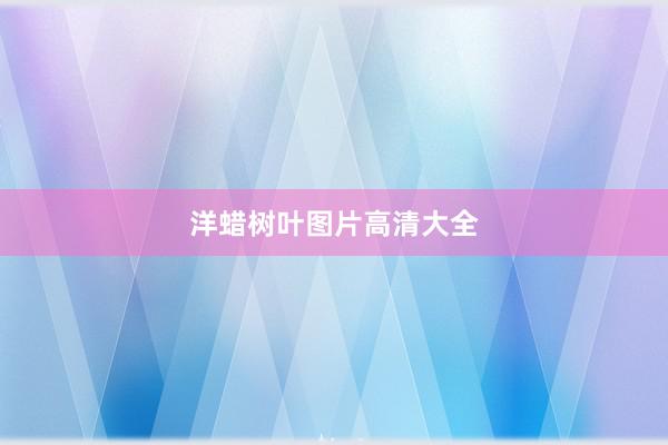 洋蜡树叶图片高清大全