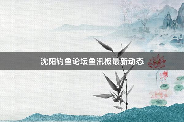 沈阳钓鱼论坛鱼汛板最新动态